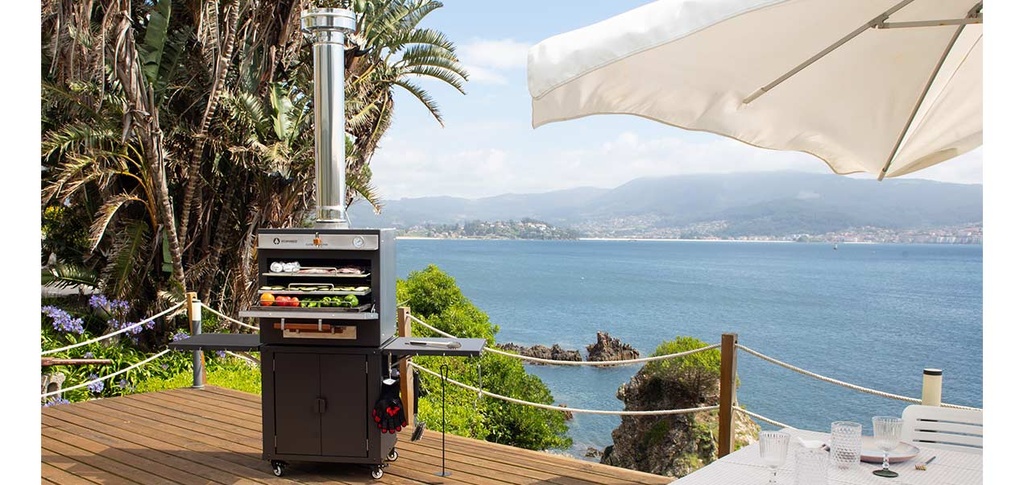 TravelQ 240 Portable Gas Barbecue